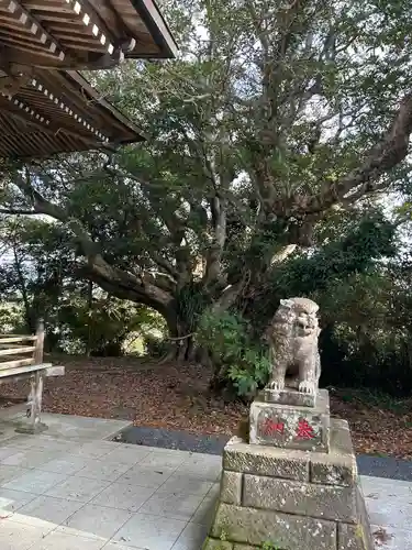 遠見岬神社(千葉県)