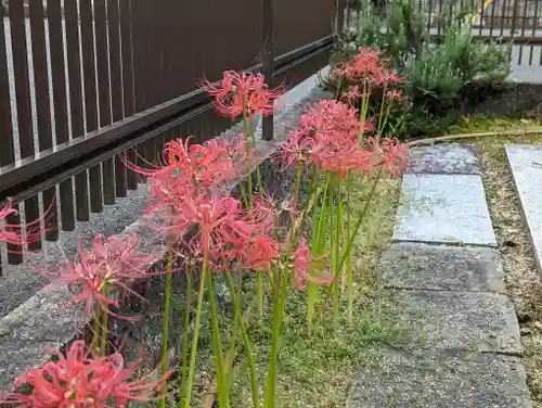 大松禅寺の庭園