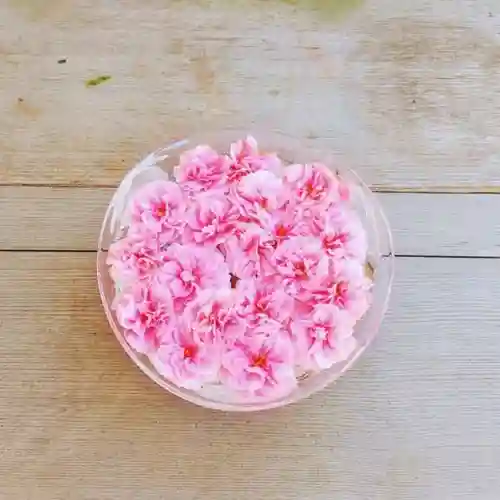 彌彦神社　(伊夜日子神社)の芸術