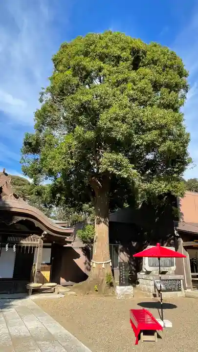 酒列磯前神社の自然