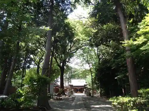 星川杉山神社の庭園