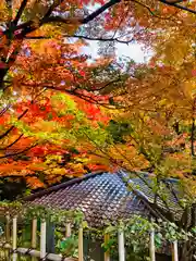 平等院の建物その他