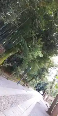 大徳寺のその他建物