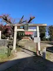 田島神明神社(埼玉県)