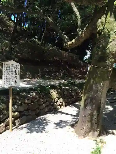 男女神社(佐賀県)