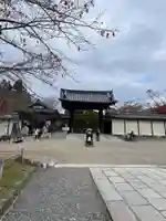 醍醐寺(京都府)