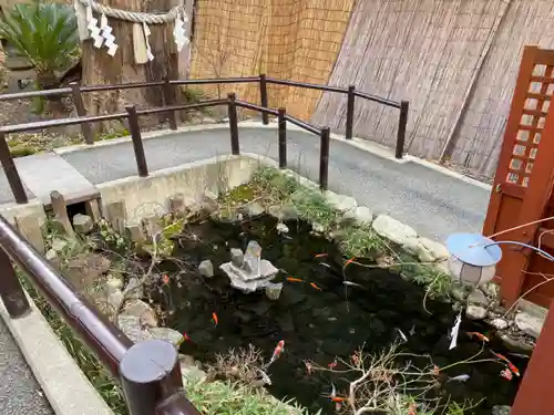 秩父神社の庭園