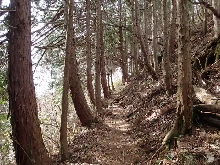 武蔵御嶽神社奥の院の自然