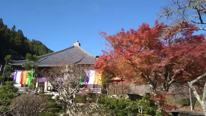 高蔵寺(兵庫県)