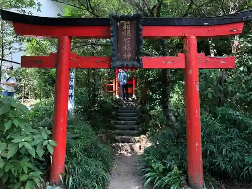 箱根神社の鳥居