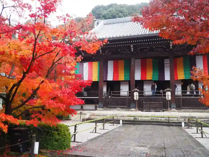 禅林寺(永観堂)(京都府)