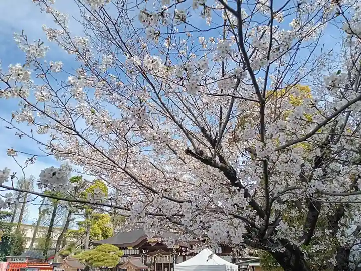 阿部野神社(大阪府)