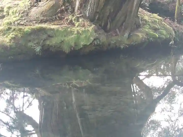 一本杉神社(島根県)