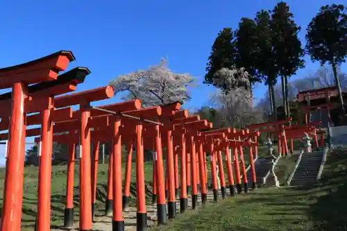 高屋敷稲荷神社の鳥居