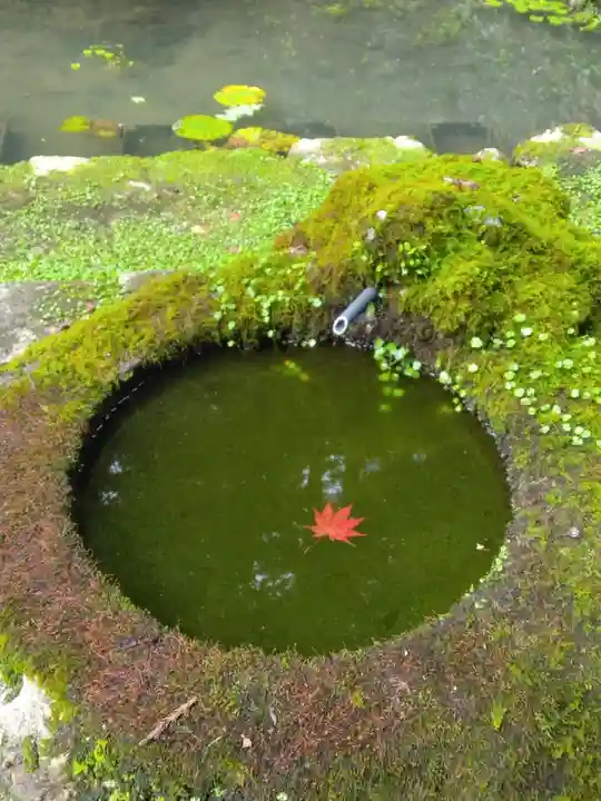 圓教寺の手水舎
