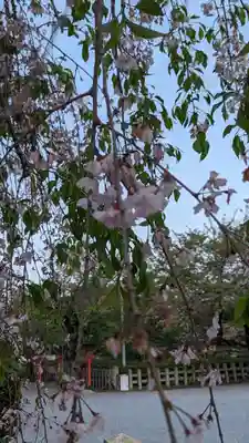 六孫王神社(京都府)