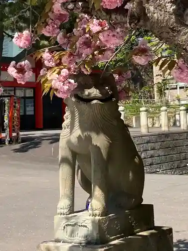 住吉神社の狛犬