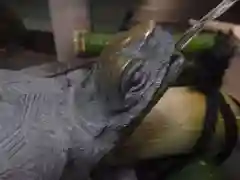 亀戸天神社の手水