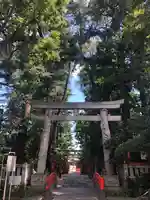 馬橋稲荷神社の鳥居