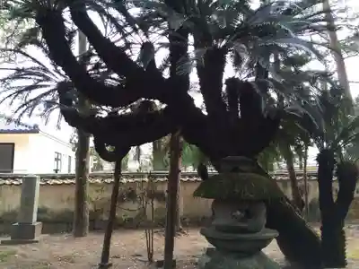 春日神社(山口県)