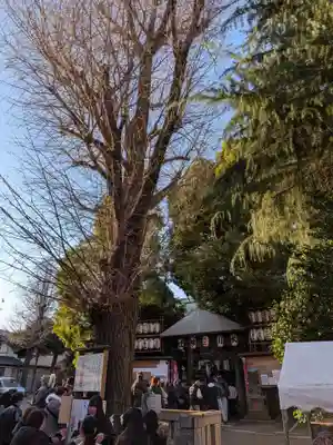 幡ケ谷氷川神社(東京都)