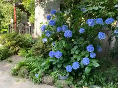 幸國寺(東京都)