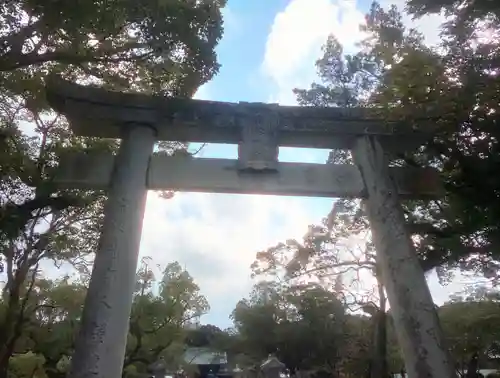 宗像大社の鳥居