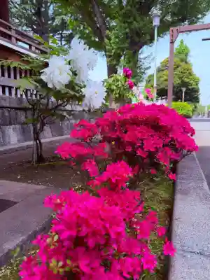 寛永寺(根本中堂)の{uncategorized: "未分類", other: "その他", undefined: "問題あり", building: "その他建物", grave: "お墓", sacred_gate: "鳥居", guardian: "狛犬", statue: "像", buddha: "仏像", history: "歴史", nature: "自然", garden: "庭園", animal: "動物", pagoda: "塔", temizu: "手水舎", mountain_gate: "山門・神門", sanctuary: "本殿・本堂", subordinate: "末社・摂社", art: "芸術", scenery: "景色", jizo: "地蔵", ema: "絵馬", goshuin: "御朱印", omikuji: "おみくじ", items: "授与品その他", amulet: "お守り", goshuincho: "御朱印帳", eats: "食事", festival: "お祭り", votive_dance: "神楽", shichigosan: "七五三参", wedding: "結婚式", experience: "体験その他", initially: "初詣", around: "周辺", anti_infection: "感染症対策"}