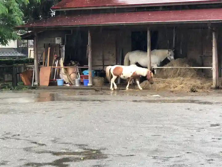 小室浅間神社の動物