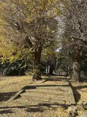 三芳野神社(埼玉県)