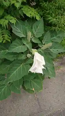 青林山 延命寺の周辺