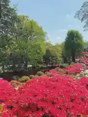 根津神社の庭園