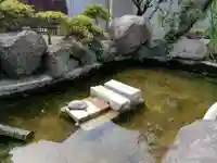 七尾神社の動物