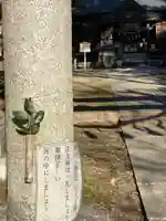 磯部稲村神社(茨城県)
