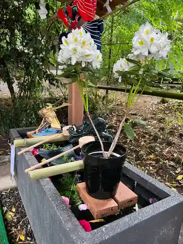 下野 星宮神社(栃木県)
