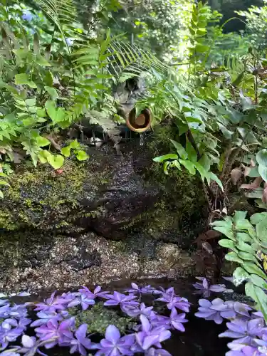 穴澤天神社(東京都)