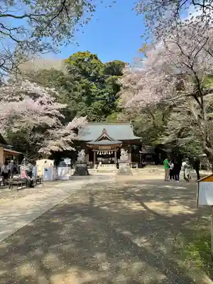 磯部稲村神社(茨城県)
