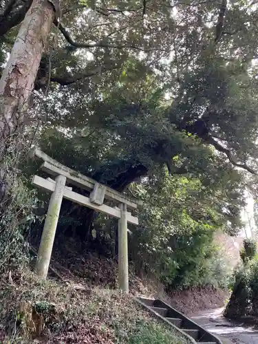 八幡神社の鳥居