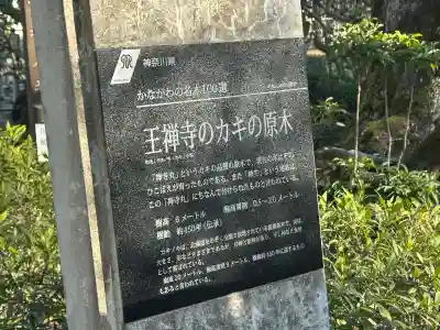 王禅寺の{uncategorized: "未分類", other: "その他", undefined: "問題あり", building: "その他建物", grave: "お墓", sacred_gate: "鳥居", guardian: "狛犬", statue: "像", buddha: "仏像", history: "歴史", nature: "自然", garden: "庭園", animal: "動物", pagoda: "塔", temizu: "手水舎", mountain_gate: "山門・神門", sanctuary: "本殿・本堂", subordinate: "末社・摂社", art: "芸術", scenery: "景色", jizo: "地蔵", ema: "絵馬", goshuin: "御朱印", omikuji: "おみくじ", items: "授与品その他", amulet: "お守り", goshuincho: "御朱印帳", eats: "食事", festival: "お祭り", votive_dance: "神楽", shichigosan: "七五三参", wedding: "結婚式", experience: "体験その他", initially: "初詣", around: "周辺", anti_infection: "感染症対策"}