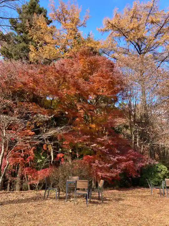 十二山神社(群馬県)