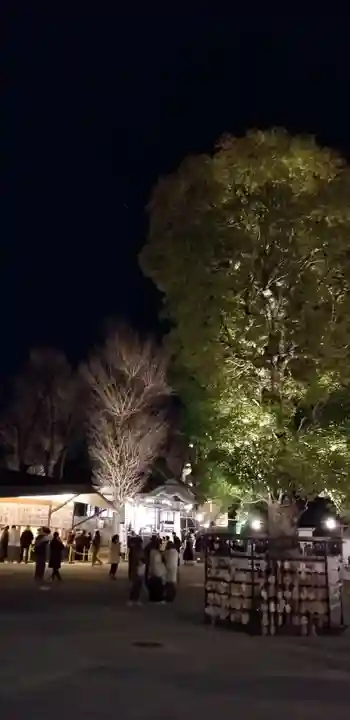 亀有香取神社のその他建物