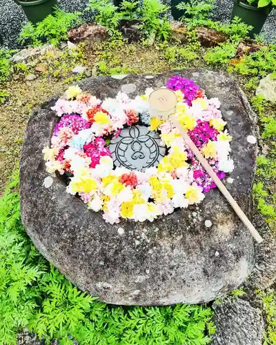 柳谷観音　楊谷寺(京都府)