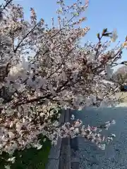 空知神社の自然