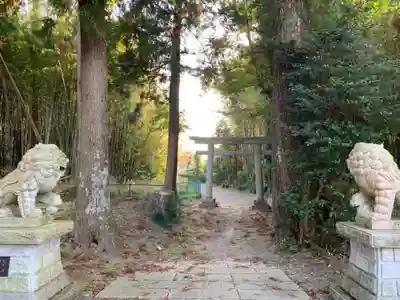 熊野神社の狛犬