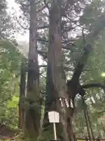 日光二荒山神社(栃木県)