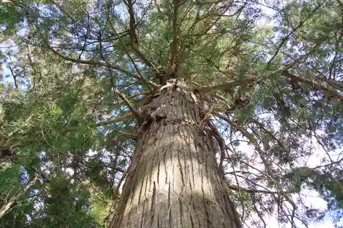 黒沼神社(福島県)
