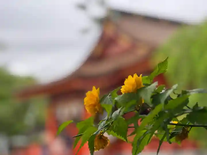 富士山本宮浅間大社(静岡県)