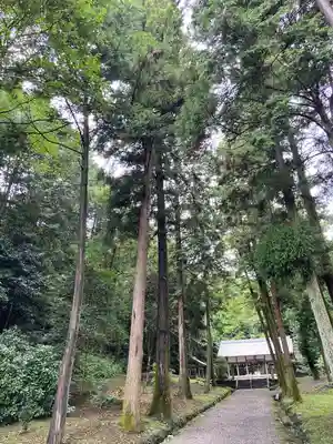 坂祝神社(岐阜県)