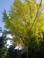 安國論寺(安国論寺)の自然