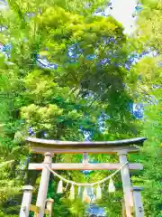 成田熊野神社の鳥居